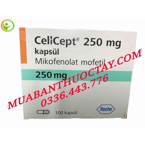 Cellcept 250mg thuốc phòng thải ghép