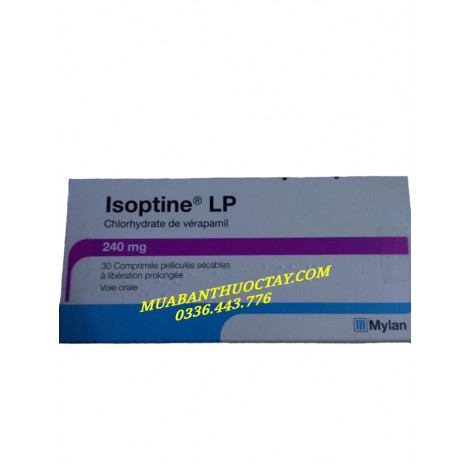 Isoptine 240mg thuốc trị cao huyết áp