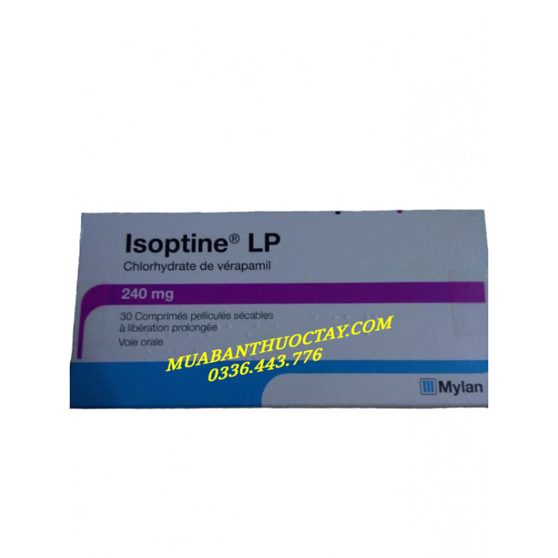Isoptine 240mg thu�...